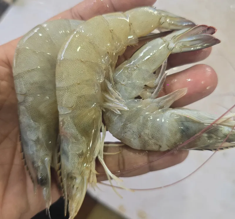Fresh prawns — cleaned and ready for delivery in Trivandrum